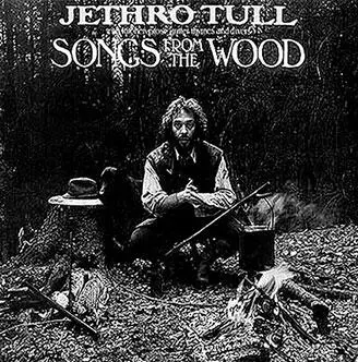 LP Songs from the Wood 1977 Не знаю то ли флейты с тех пор - фото 165