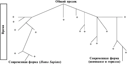 422 Биологическое и социальное в человеке как проблема философской - фото 2