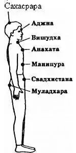 Рис 2 Проекция системы чакр на тело человека Если Точка Сборки зафиксирована - фото 2