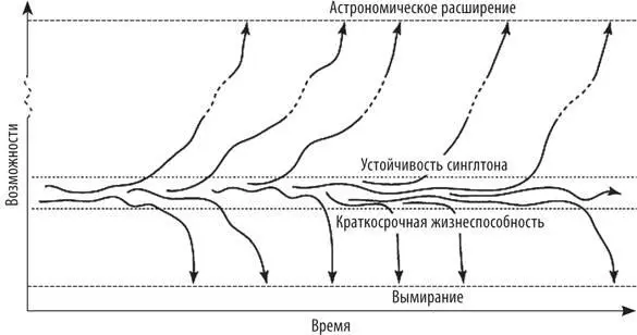 Рис 11 Некоторые возможные траектории развития гипотетического благоразумного - фото 36