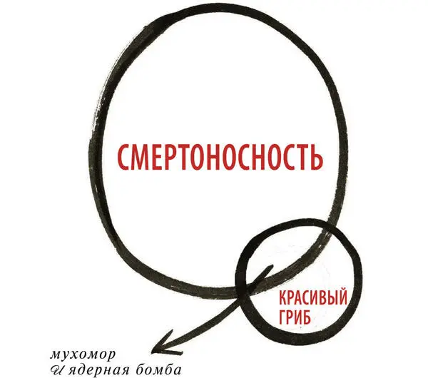 Вот основы учения о местности Высшая обязанность полководца в том чтобы - фото 149