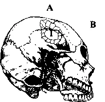 Эскиз выполненный с соблюдением масштаба позволяющий нагляднее представить - фото 72