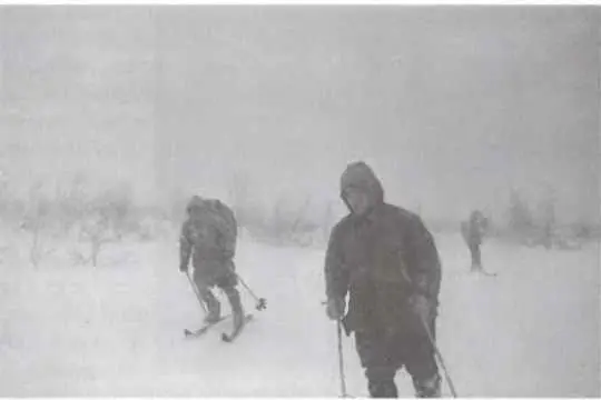 Снимок 26 из фотопленки 1 Группа вышла на границу леса еще 300 метров и - фото 157