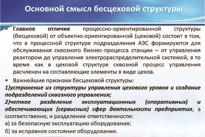 Цеховая и бесцеховая структуры управления производством Проблемы внедрения бесцеховой структуры - фото 9