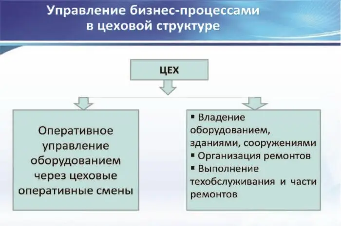 Цеховая и бесцеховая структуры управления производством Проблемы внедрения бесцеховой структуры - фото 10