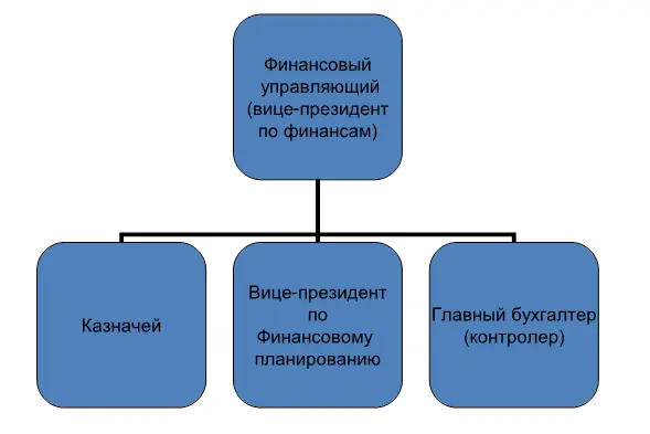 Рис 17 Структура финансовой службы компании Финансовый директор занимается в - фото 8