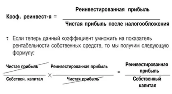Рис 210 Коэффициент реинвестирования Коэффициент реинвестирования - фото 51