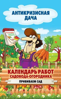 Сергей Кашин - Календарь работ садовода-огородника. Прививаем сад