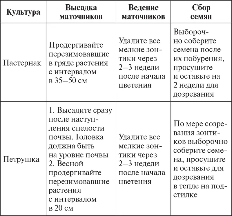 Чтобы не создавать условий для перекрестного опыления каждый сезон высаживайте - фото 11