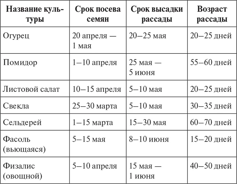 Достаточно большую группу составляют овощи рассаду которых можно высаживать - фото 43