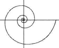 РИС 4 архимедова или арифметическая спираль рисунок 1 Она описывается - фото 54