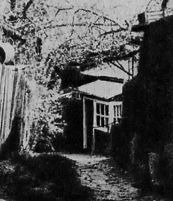 Воронеж Дом 2 по улице Линейной где жили ОЭ и НЯ Мандельштамы - фото 70