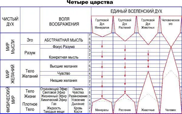 Глава II ЧЕТЫРЕ ЦАРСТВА Три мира нашей планеты являются в настоящее время - фото 4