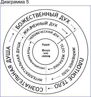 Диаграмма 5 показывает Десятиричную Конституцию Человека Человек это - фото 8