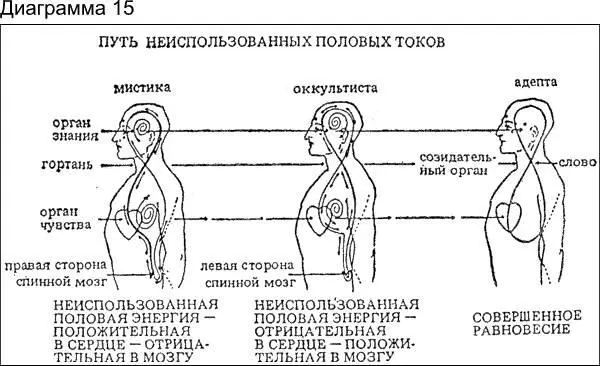 Гипофиз и шишковидная железа относятся к третьему классу органов которые в - фото 19