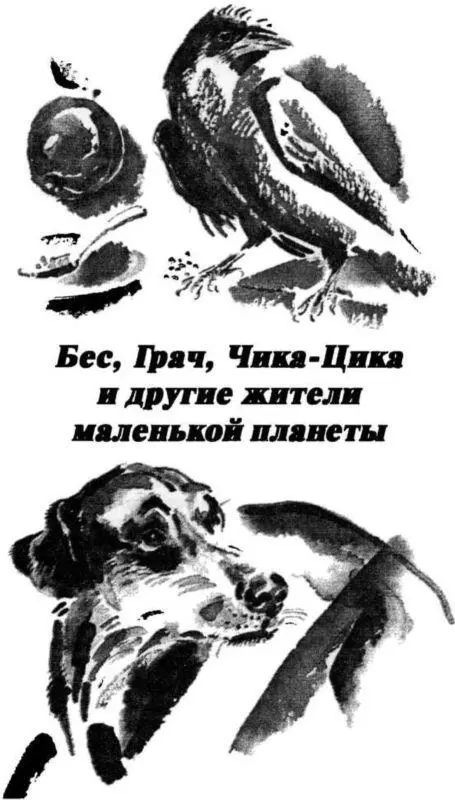 Смешные и печальные истории из жизни любителей ружейной охоты и ужения рыбы - изображение 20