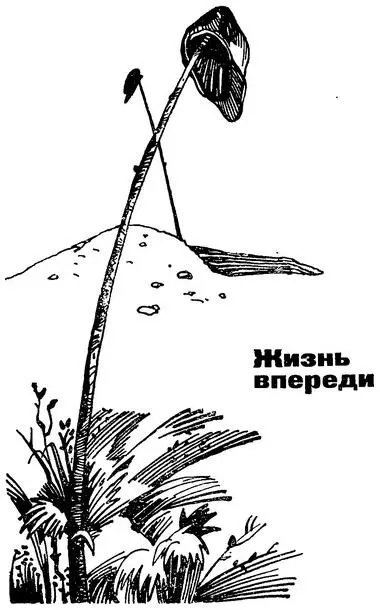 Миша Самохин тринадцатилетний рослый и нескладный паренек взбежал на - фото 6