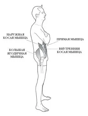 Наклон таза Основными мышцами отвечающими за наклон таза в сторону являются - фото 132