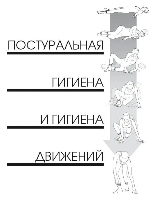 Постуральная гигиена Постуральные паттерны В повседневной деятельности мы - фото 314