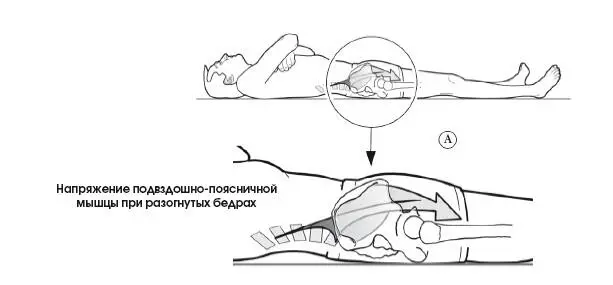 Несмотря на удобство этой позы для отдыха не рекомендуется спать с согнутыми - фото 337