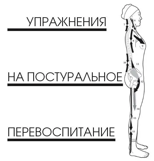 Адаптация мышц С появления первых клеток на Земле и до настоящего времени - фото 362
