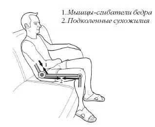 Положения связанные с акцентуацией шейного изгиба способствуют укорочению - фото 363