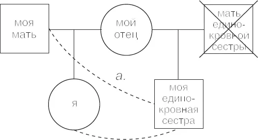 Рис 5 Единоутробными братьями и сестрами или детьми называются те которые - фото 8