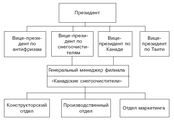 Рис 44Перманентная матричная структура в международной фирме В данных - фото 20