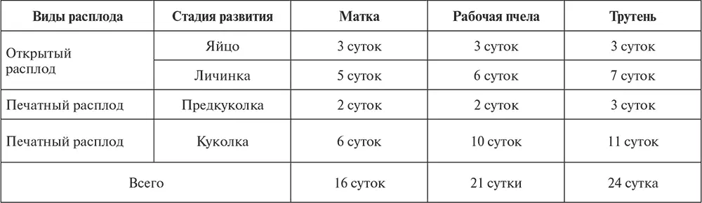 Фермерское хозяйство Доступное и успешное - фото 161