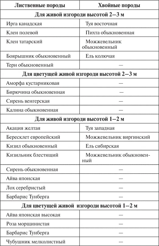 Окончание табл 12 Живая изгородь несомненно очень выразительная и - фото 138