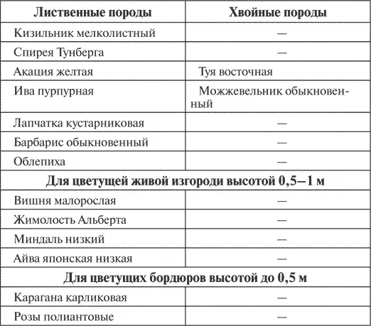 Живая изгородь несомненно очень выразительная и неповторимая деталь - фото 139