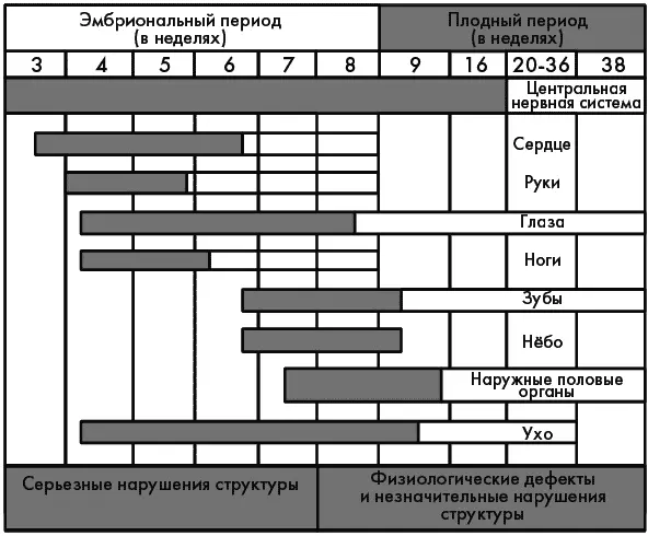 Рис 4 Влияние тератогенов на формирование отдельных структур организма - фото 7