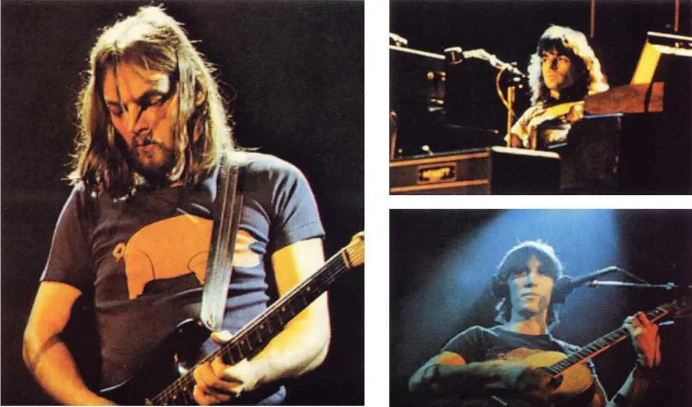 Тур In The Flesh Концертное оборудование Pink Floyd понемного начинает - фото 35