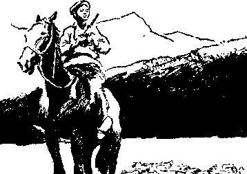 Дорогая милая моя мамочка С тех пор как перешел в восьмой класс размышляю - фото 9