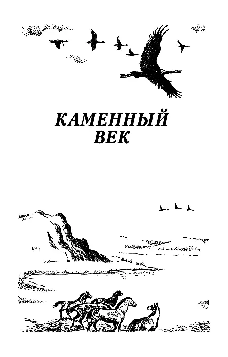 Фирма Наташа Москва НПП Параллель Нижний Новгород 1993 Предисловие А - фото 2