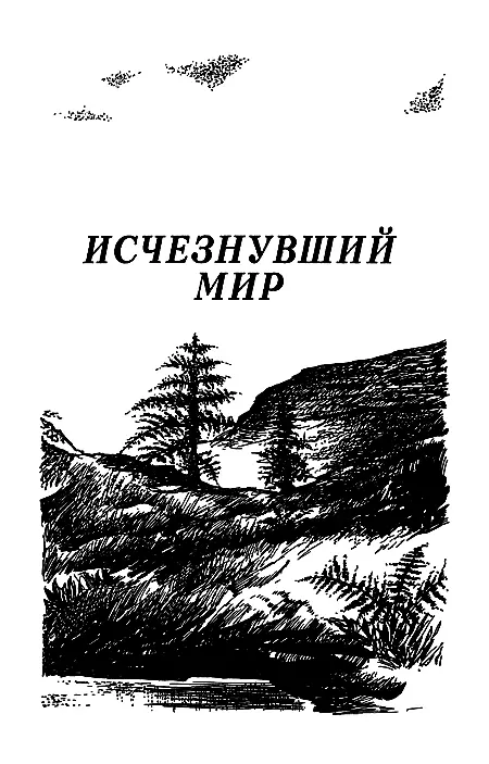 ТОО ЭленКвадра Москва Фирма Наташа Москва НПП Параллель Нижний Новгород - фото 2