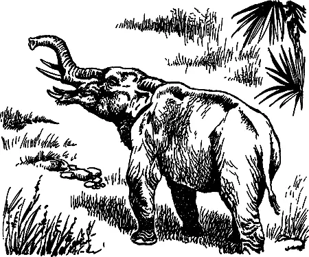 Затрубили и остальные мастодонты заревели оба носорога могучее эхо - фото 245