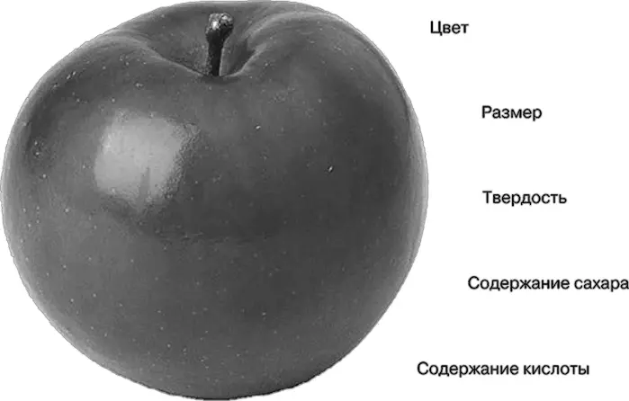 Рис 91 Свойства яблока Роботу даются для анализа два яблока хорошее и - фото 18