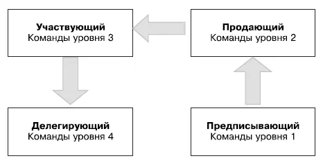 Стили лидерства по Херси и Бленчарду Уровни команд соответствуют этапам - фото 35