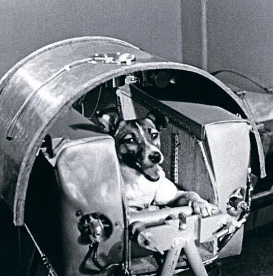 Лайка первая жительница Земли на орбите RIA NOVOSTISCIENCE PHOTO LIBRARY - фото 30