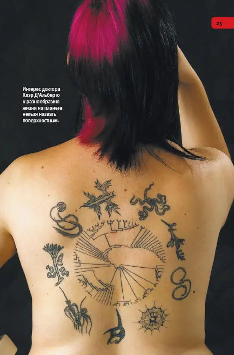 Интерес доктора Клэр ДАльберто к разнообразию жизни на планете нельзя назвать - фото 125