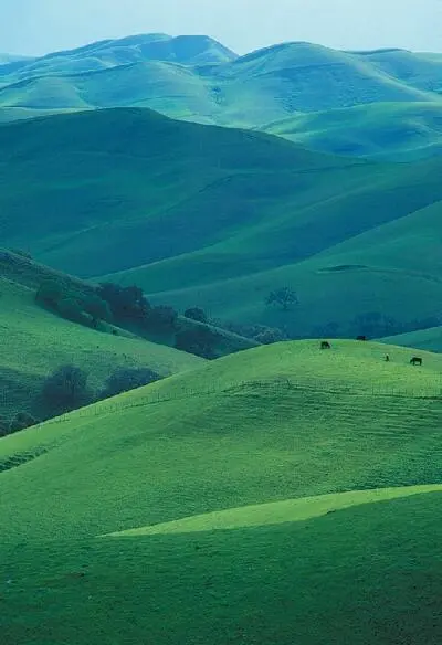 Мы не случайно почти всюду видим зелень Нам не хватало бы энергии если бы - фото 134