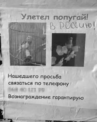 В Ореанде закрыли бассейн до 24 марта Теперь Платоша все время сидит дома - фото 21