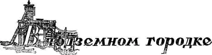 60 лет назад на том месте где сейчас расположен наш город шумел сосновый лес - фото 46