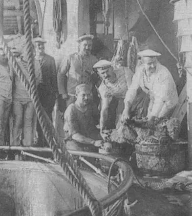 На броненосце Шарль Мартель во время занятий учений и работ 19081909 гг - фото 111