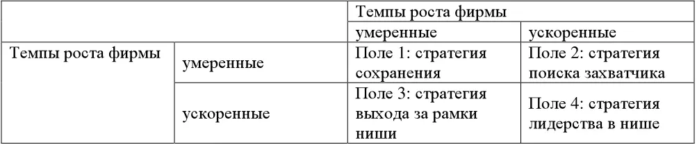 Поле 1 Стратегия сохранения существующего положения В данной стратегии есть - фото 90