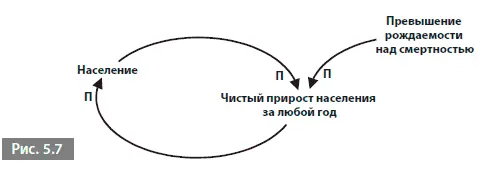 Звенья скорости объясняют почему петли могут демонстрировать не только рост - фото 33