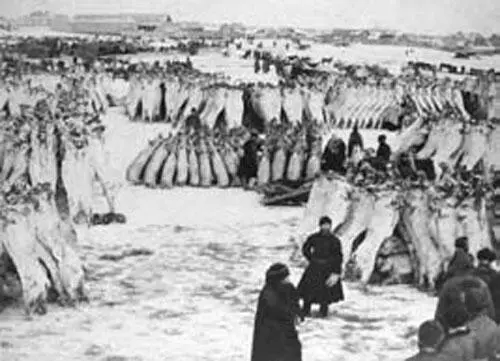 Торговля мясными тушами Курган 1903 г Ваша революция сказал он Да - фото 20
