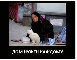 Плакат 3 Что же касается плакатапобедителя то его выбрал только 1 человек - фото 47