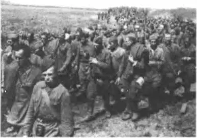 Пленные красноармейцы август 1941 Жлобинский район Гомельской обл Группы - фото 66